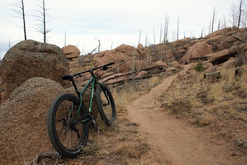 Shingle Mill Trail rocky section