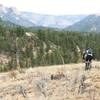 Rider descending Shingle Mill Trail