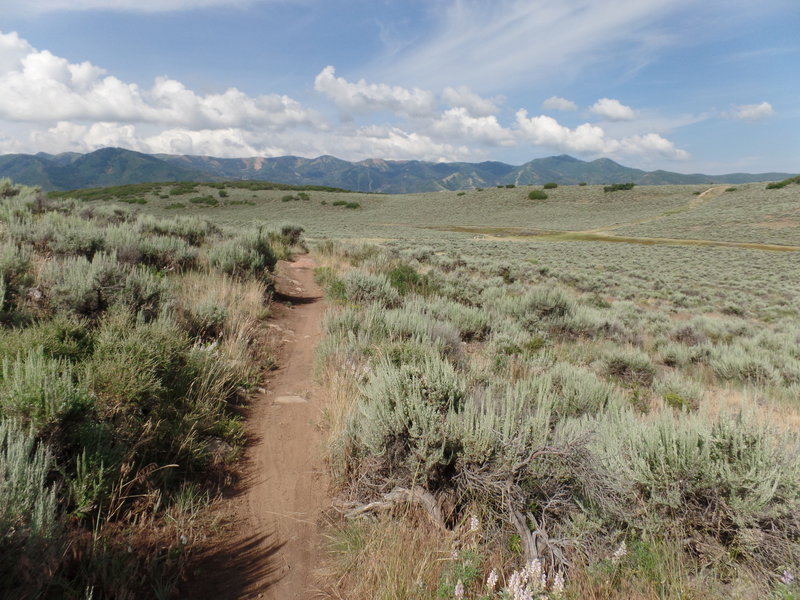 View of the surrounding area from Ramble On.