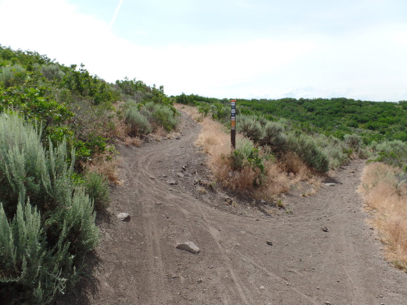 Intersection between Somewhere Elks and Nowhere Elks.