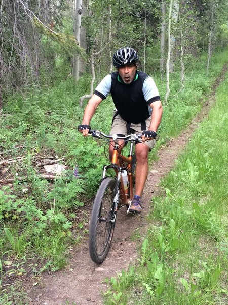 The forest road eventually ends in a nice singletrack through the aspen and pine forest.