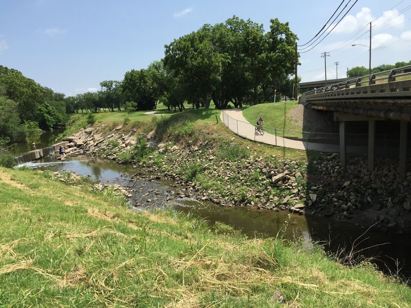 Apparently there's fish in this creek?