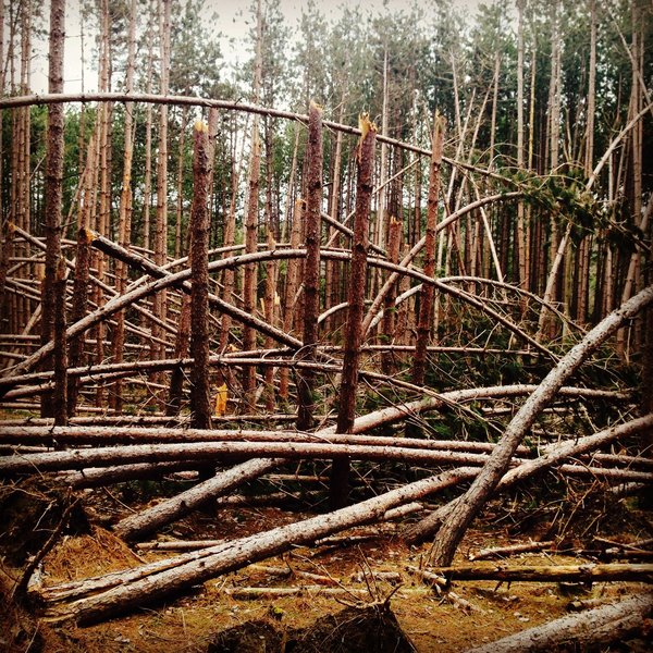 The Pines after the 2013 ice storm.