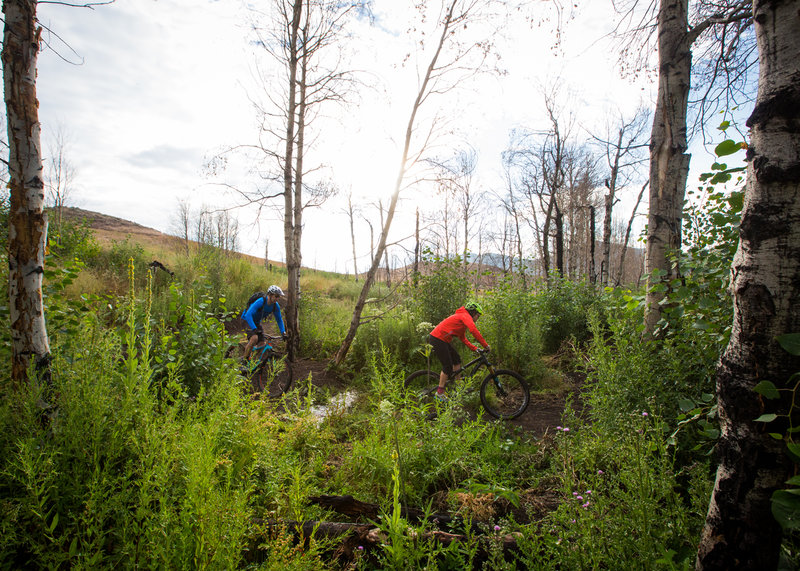 A short and sweet oasis on Wilson Gulch trail.