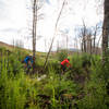 A short and sweet oasis on Wilson Gulch trail.