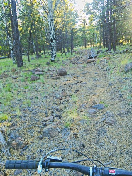 Typical reclaimed road