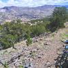 Looking back down into Lobo Canyon