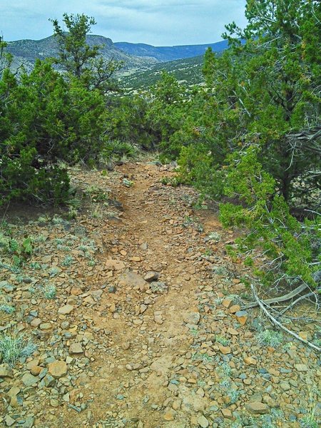 Trail tread