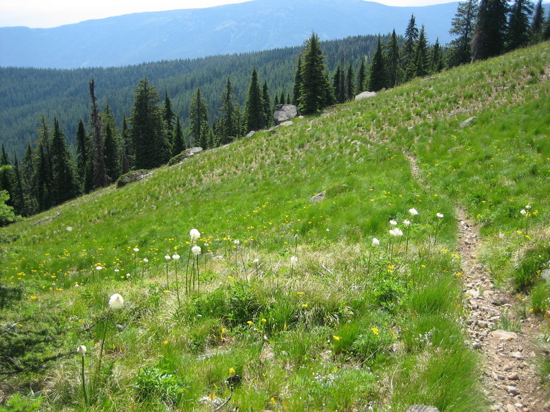 Pleasant riding through meadows.