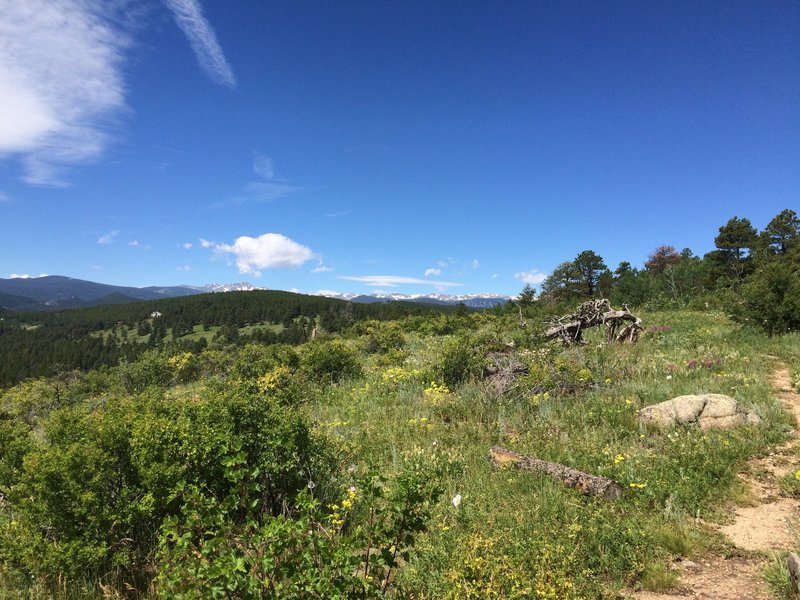 Looking west, toward the Divide, from Winiger Ridge.