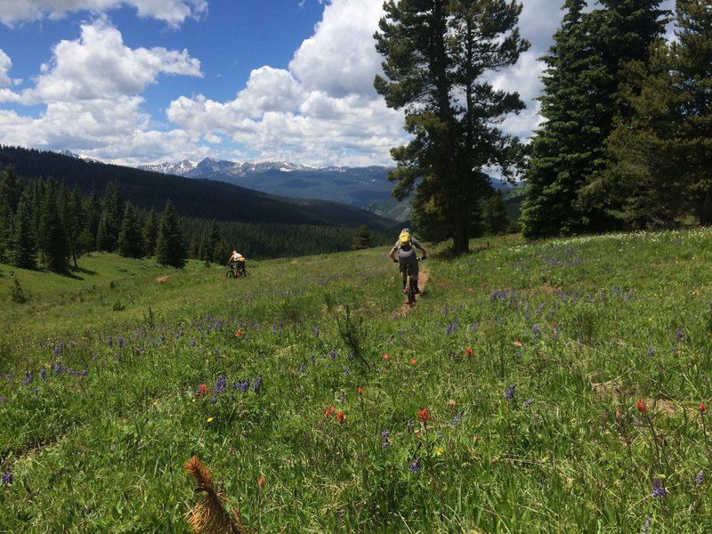 Big skies and wild flowers abound in outer Mongolia Bowl.