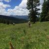 Big skies and wild flowers abound in outer Mongolia Bowl.