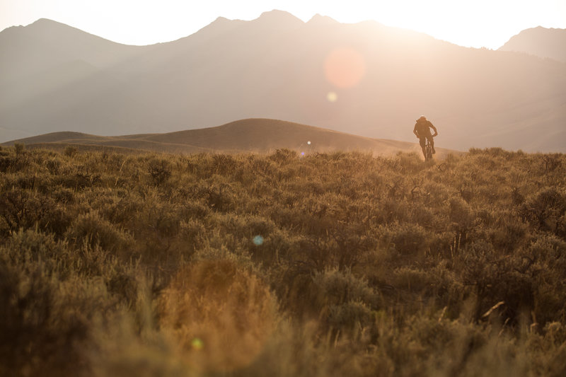 Dawn patrol at the Discovery Hills trails.