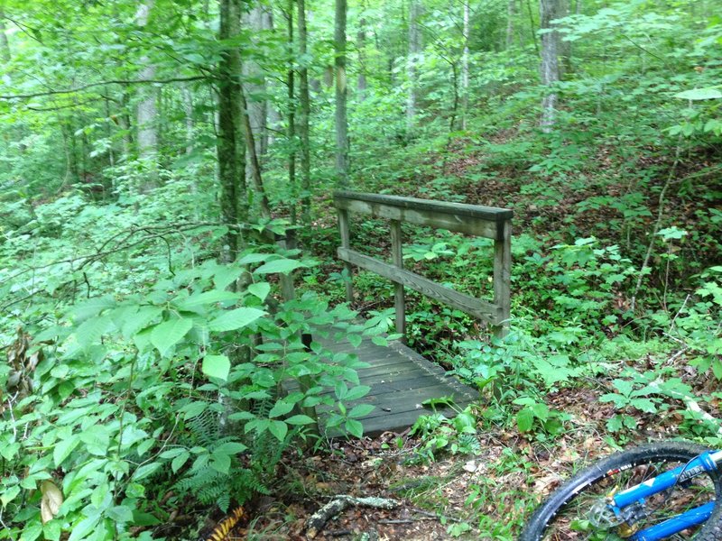 Old footbridge on Piney Grove Trail