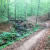 Intersection of Ye Olde Trail, Yellow Jacket, and Lake View.  Pulaski Eagle Scout Trails
