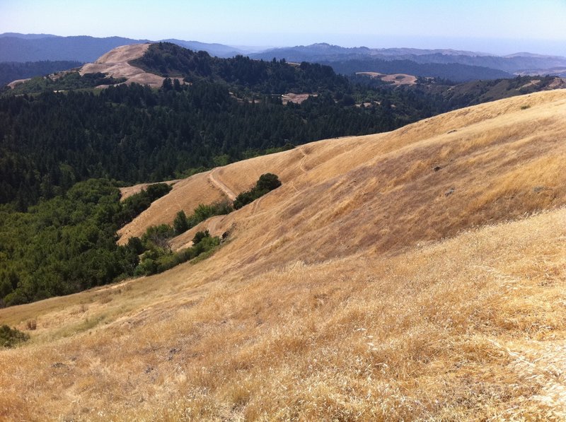 Goodbye Russian Ridge