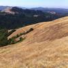 Goodbye Russian Ridge