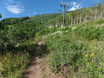 Excellent section of Jenni's Trail which parallels Crescent Chairlift with some awesome views.