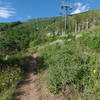 Excellent section of Jenni's Trail which parallels Crescent Chairlift with some awesome views.