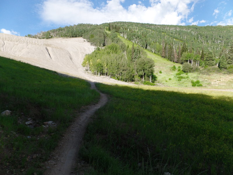 Part of Jenni's Trail looking out towards the tailings pile, which the trail later crosses over.