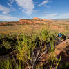 Looking across the Red Fleet trail system from the south end of J-Boy trail.