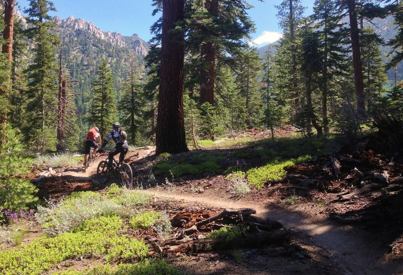 Climbing Armstong, with Freel Peak in the background.