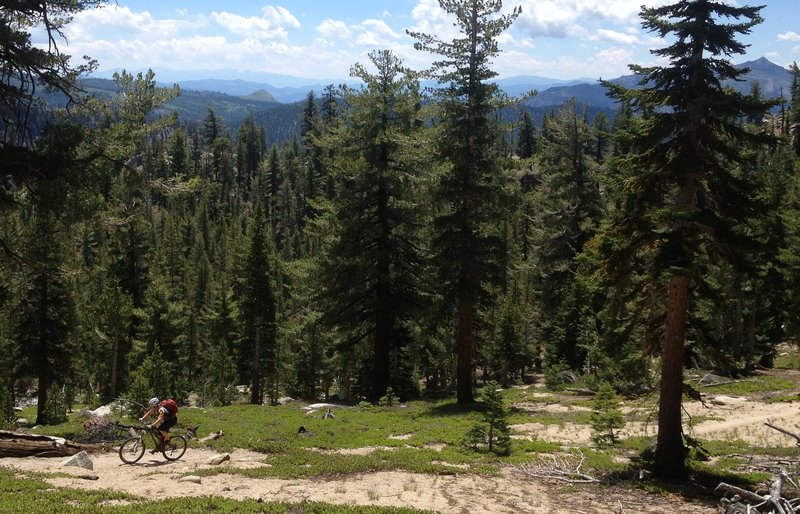 Climbing TRT (Tahoe Rim Trail), looking over the southern Sierra peaks