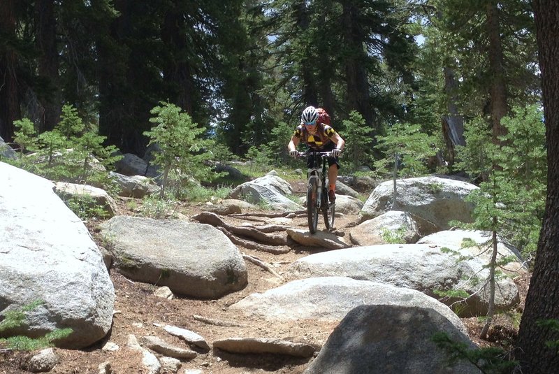 Descending Tahoe Rim Trail towards Toads.  Mix of rowdy and flowy!
