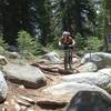 Descending Tahoe Rim Trail towards Toads.  Mix of rowdy and flowy!