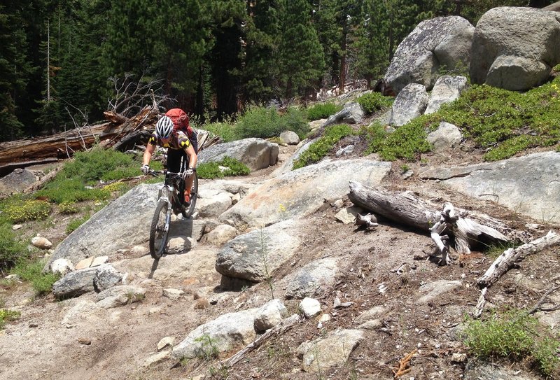 Fun chunk on the Grassy Lake connector