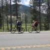 Short and flat section of Hwy 89 by Grassy Lake to connect to Luther Pass Cattle Trail