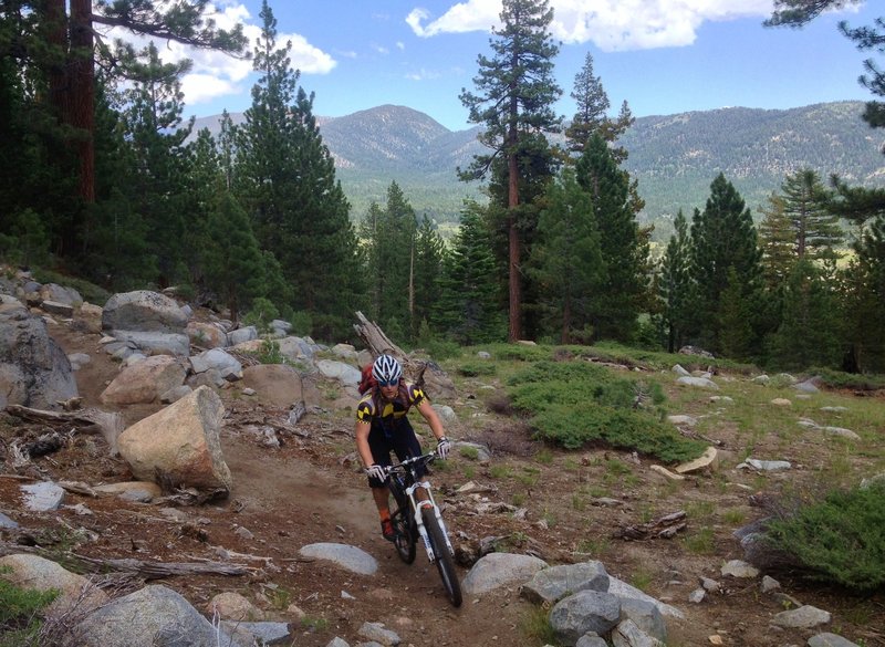 Cruisin' on the Cattle Trail around Waterhouse Peak from Luther Pass