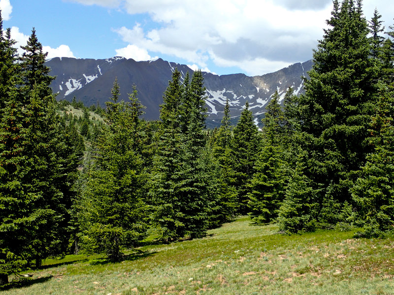 The trees start thinning revealing amazing views