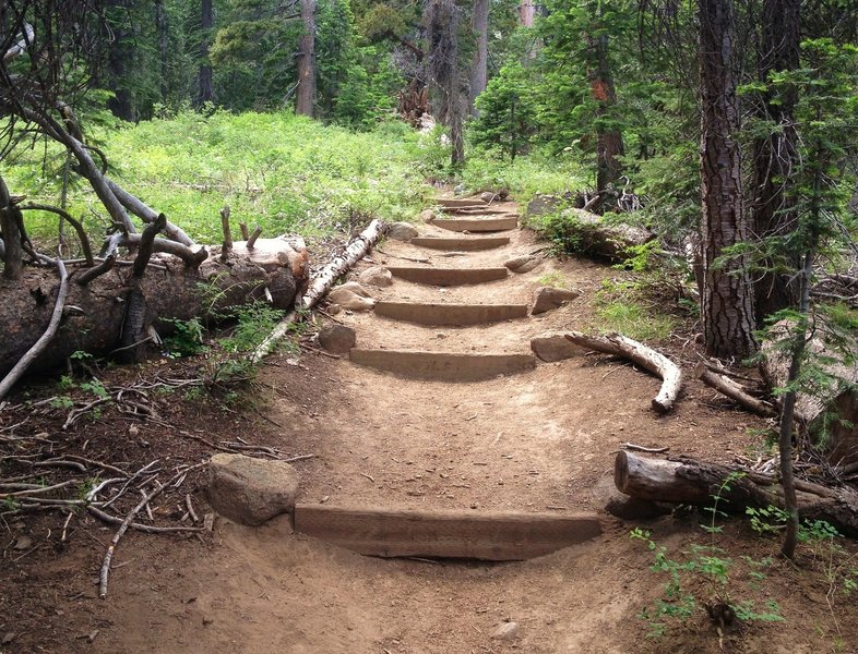 Some challenging but rideable steps