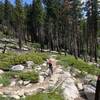 Christmas Valley Trail, through an old burn.