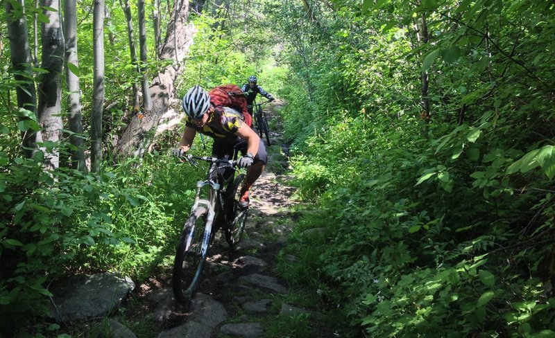 Climbing up Hawley Grade Trail.... green!