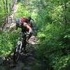 Climbing up Hawley Grade Trail.... green!