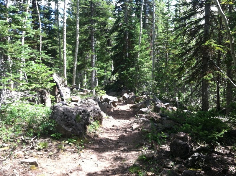 Around the corner from here is a fun rocky section to come down.  Big enough to be scary, but small enough to be rideable.  Probably my favorite section of the trail.