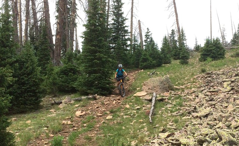 Upper section of Paradise Trail