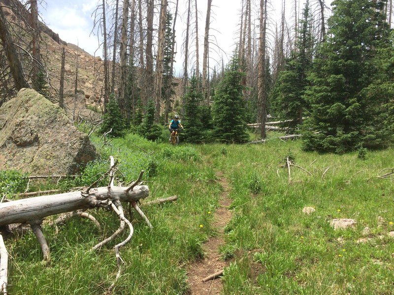 There are a few small meadows before dropping into the woods