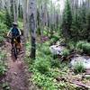 Much of the singletrack runs parallel to a great stream