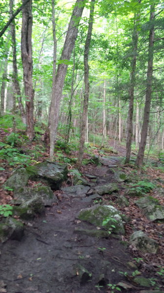 Technical section at the Riverside trail.