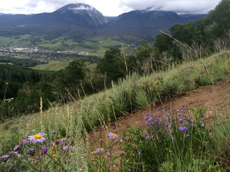 The first of many views of Buffalo Peak and Silverthorne far below.