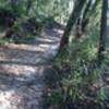 Peach Creek Trail along creek.