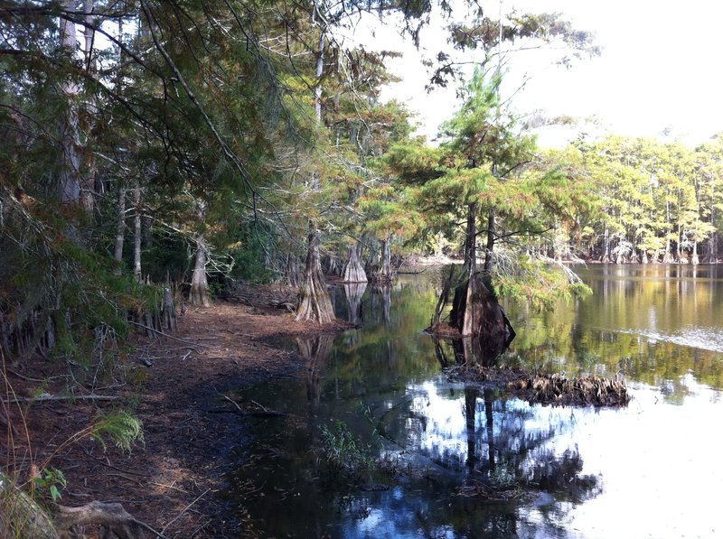 Lake Isabel shoreline