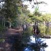 Lake Isabel shoreline