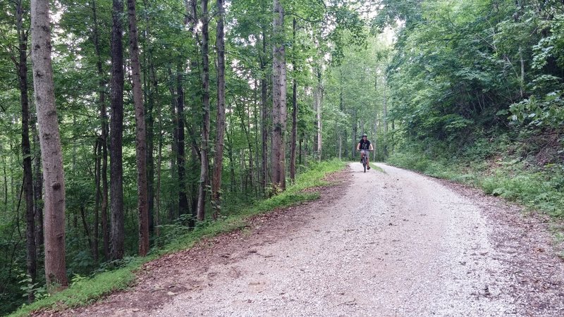 Gravel grinding along Big Limestone