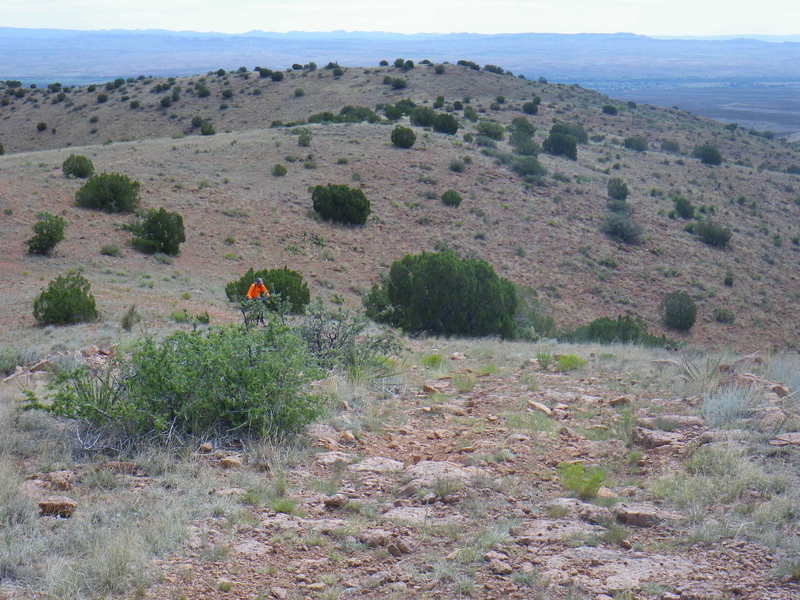 Rocky climbs keep the trail interesting.