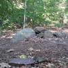 Rocks bump in the middle of the trail. View from the side of the trail.