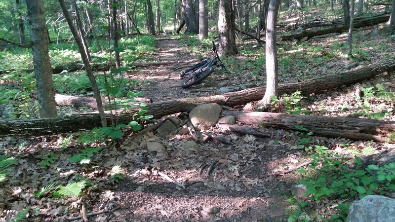 Obstacle at the bottom of the hill. You'll see this after taking a hard right around a tree.